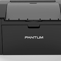 Ремонт принтеров PANTUM P2516